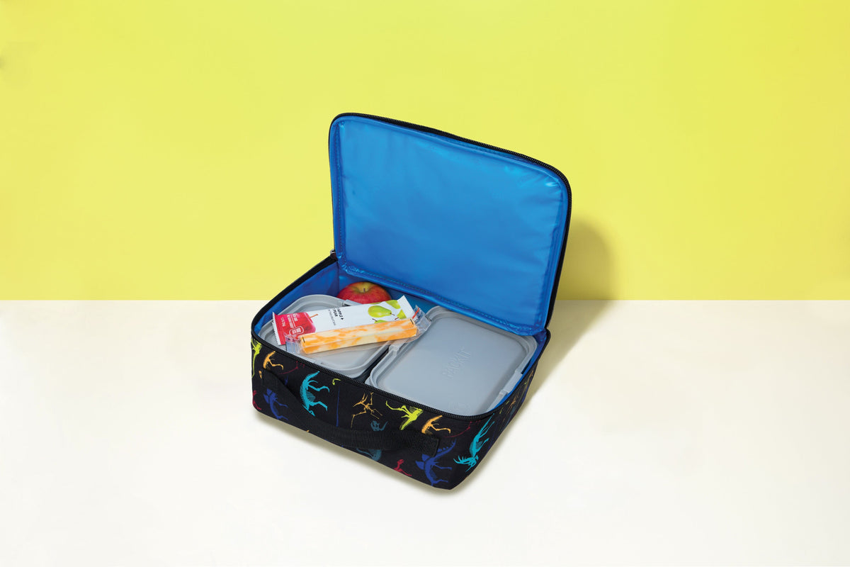 freezable-lunch-box-limited-edition-b9 2022_Lifestyle_Lunch-Box_Dino_Fossils2_Hires.jpg