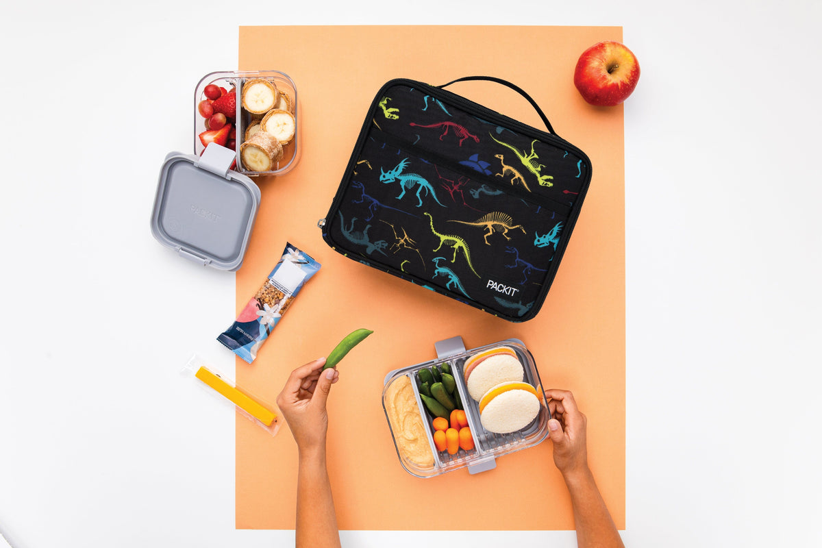 freezable-lunch-box-limited-edition-b9 2022_Lifestyle_Lunch-Box_Dino_Fossils_Hires.jpg
